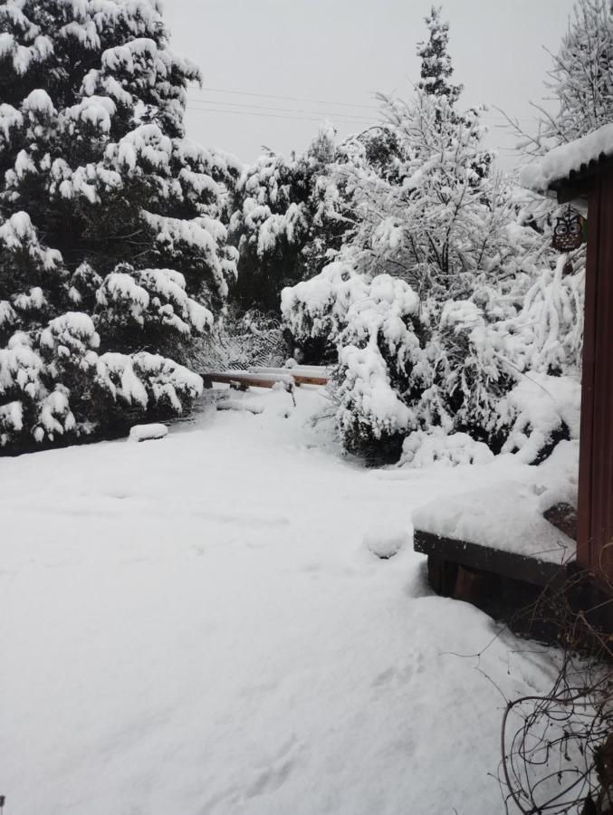 Hostal Casa Lobo San Carlos de Bariloche